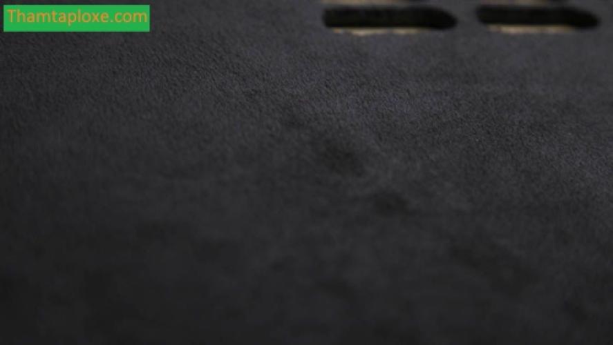 Nên Dùng Thảm Taplo Cho Xe Tải ý Nghĩa | thamtaploxe.com